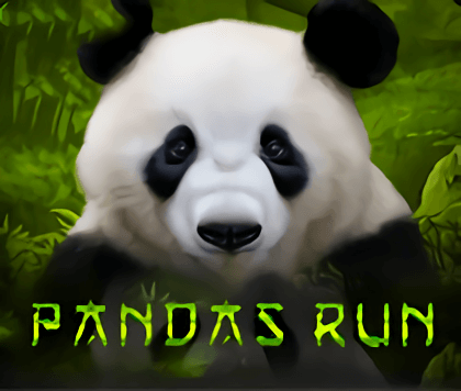 Panda's Run